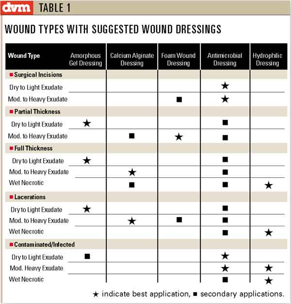 Wound Care Dressings Chart