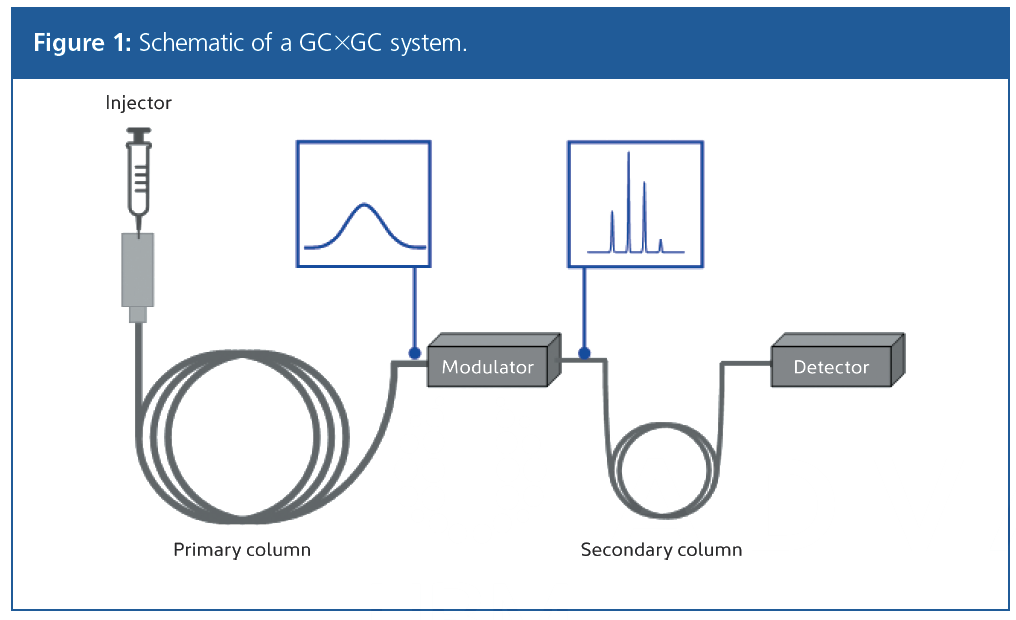 [View 45+] Schematic Diagram Of Gas Chromatography (gc) Gas Chromatography Instrumentation Diagram